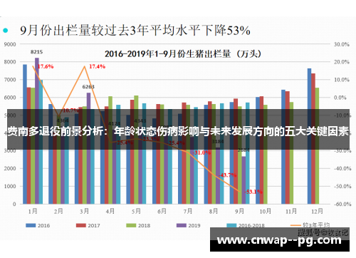 费南多退役前景分析：年龄状态伤病影响与未来发展方向的五大关键因素