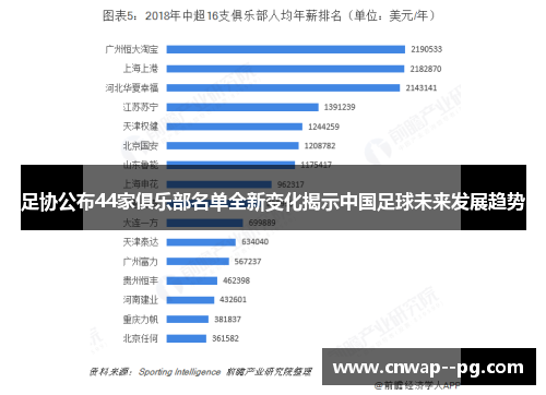 足协公布44家俱乐部名单全新变化揭示中国足球未来发展趋势