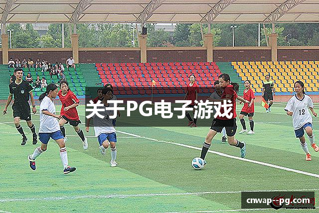 关于PG电子游戏